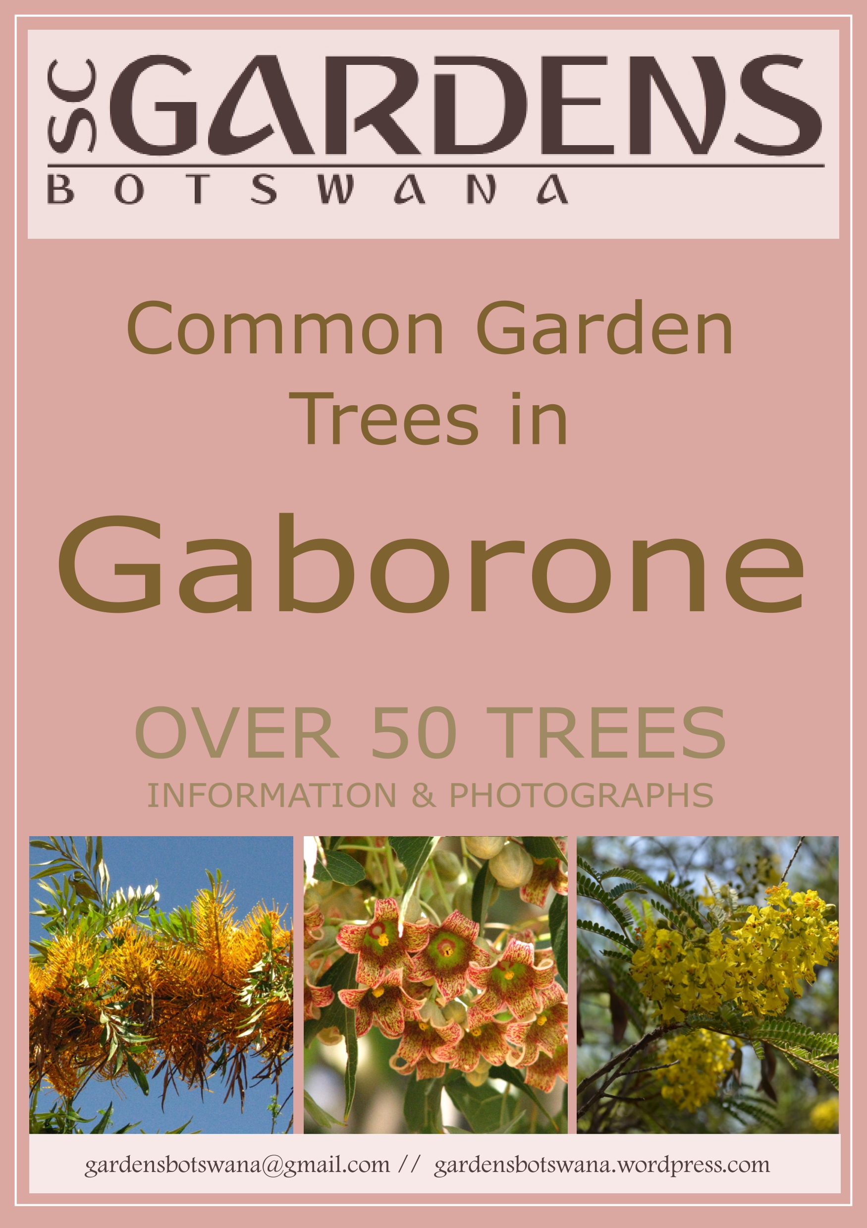 gaborone-trees_001