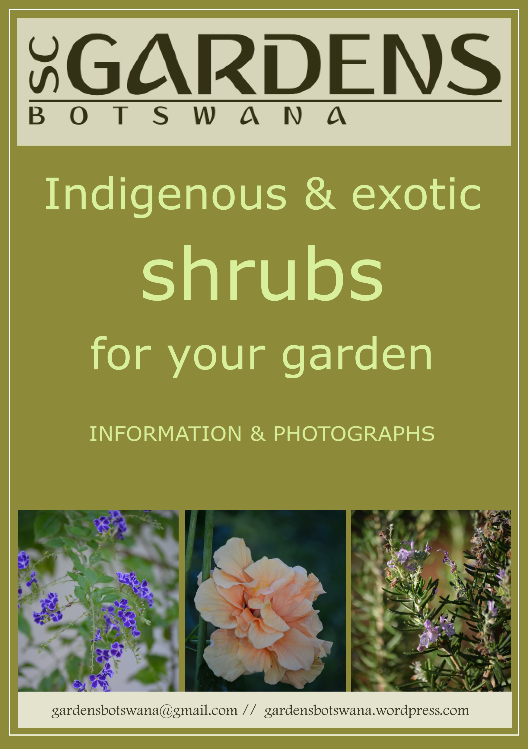 shrubs_001